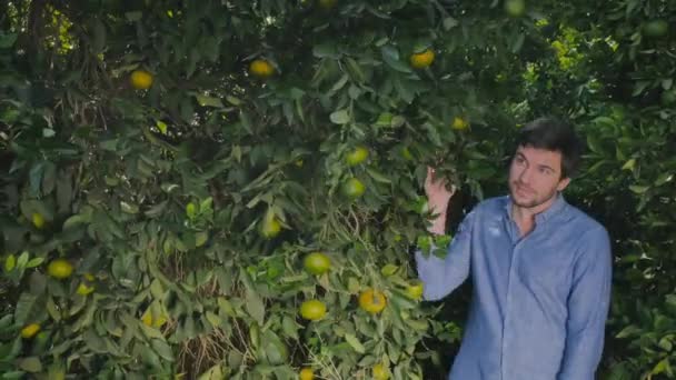 Pohledný Muž Vychází Citrusových Stromů Jeho Přítelkyně Ním Setká Druhé — Stock video
