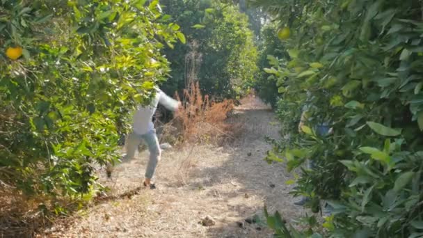 Mujer Joven Salta Repente Árbol Cítricos Moviendo Cuerpo Sonriendo Hombre — Vídeo de stock