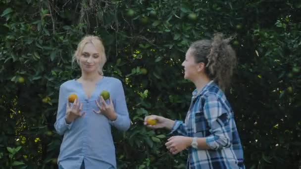 Hermosa Rubia Jugando Con Naranjas Mostrar Las Naranjas Como Pecho — Vídeos de Stock