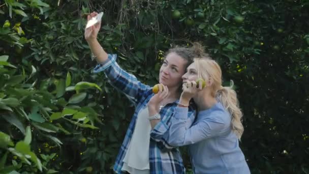 卷曲的女人举起右手 带着智能手机 两个年轻的朋友正在小玩意上做一个自拍 并在照片上显示橙子 两个年轻女人把橙子戴在眼睛上拍照 — 图库视频影像