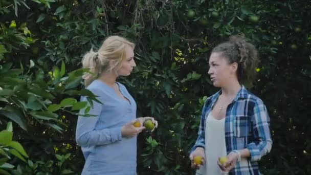 二人の若い女性が柑橘類の木の近くで話し合い 手にオレンジを持っています 若い女性はだまされ始め 彼らの胸としてオレンジを示しています 二人の友人が笑ってカメラを見て踊る — ストック動画