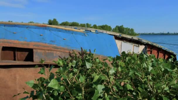 Barco Oxidado Abandonado Orilla Del Río Cámara Movimiento — Vídeo de stock