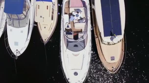 Compagnia Amici Preparano Galleggiare Yacht Giovani Comunicano Tra Loro Convenientemente — Video Stock