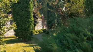 Güzel ağaçları olan yeşil bir bahçe. Sakallı adam köpekle birlikte yolda belirir. Genç adam bahçede yürüyor. Siyah köpek sahibinin yanına gidiyor. Güzel köpek, kabarık kuyruğunu sallıyor..