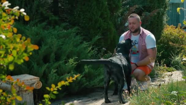 Bearded Man Squatting Outdoors Garden Big Dog Runs Smiling Guy — Stock Video