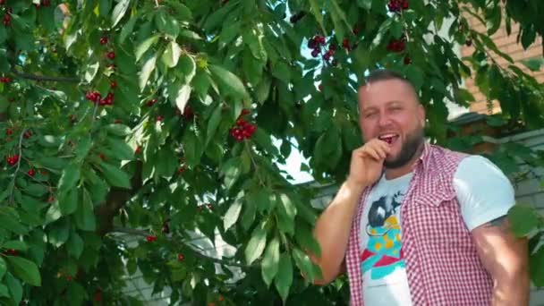 Jovem Está Lado Cerejeira Verde Homem Barbudo Está Comendo Cereja — Vídeo de Stock