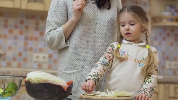 年轻的母亲教她的小女儿在厨房做饭 小女孩尝了一块卷心菜 很享受 年轻女人和小女儿一起在家里消磨时光 Prores Codec — 图库视频影像