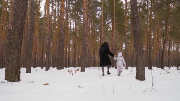 Giovane Donna Con Sua Piccola Figlia Cammina Nella Foresta Invernale — Video Stock