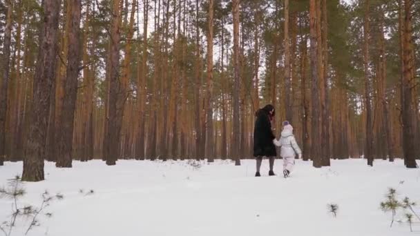 Giovane Donna Con Sua Piccola Figlia Cammina Nella Foresta Invernale — Video Stock