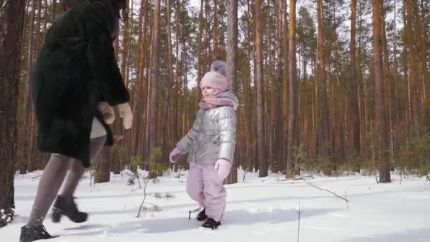 幼い娘を持つ若い女性が冬の森を歩く 家族は屋外で一緒に歩いて余暇を過ごします 女は娘を周りに回転させる スローモーションだコーデックを証明する — ストック動画
