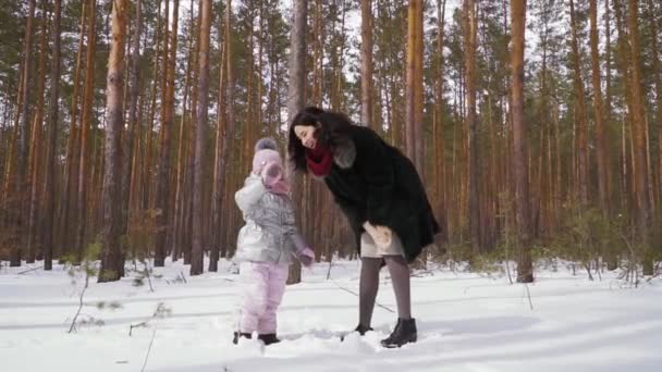 Giovane Donna Con Sua Piccola Figlia Cammina Nella Foresta Invernale — Video Stock