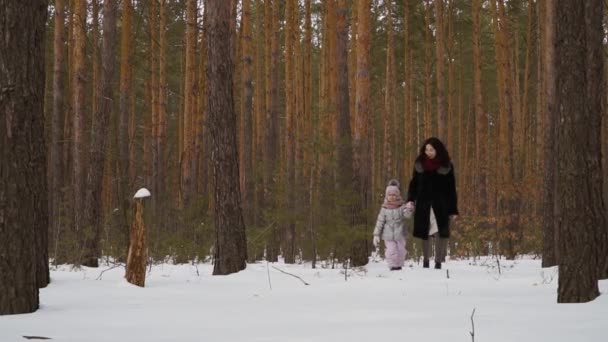 Mujer Joven Con Hija Pequeña Camina Bosque Invierno Familia Pasa — Vídeos de Stock