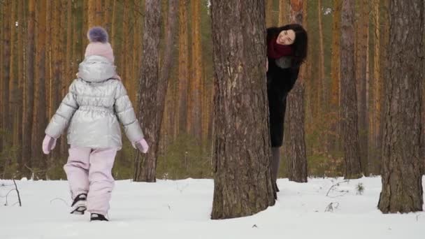 幼い娘を持つ若い女性が冬の森を歩く 家族は屋外で一緒に歩いて余暇を過ごします 彼女は木の外にピアと歩行の女の子を見て コーデックを証明するスローモーション — ストック動画
