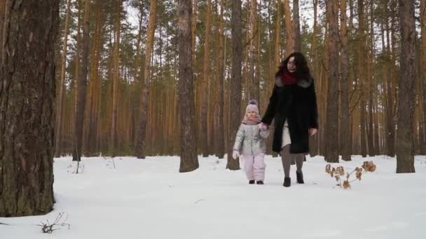 Ung Kvinna Med Sin Lilla Dotter Går Vinterskogen Familjen Tillbringar — Stockvideo