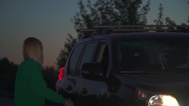 緑のプルオーバーで金髪の女の子が道路で車に巻き込まれます 彼女は運転手に尋ね 彼は彼女を車の中に座らせた 若い女はヒッチハイキングだ — ストック動画