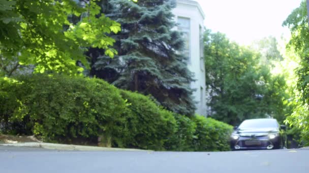 Carro Luxo Está Montando Parque Verão Preto Moderno Auto Movendo — Vídeo de Stock