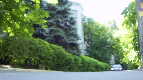 Розкішний Автомобіль Їде Дорозі Парку Молода Жінка Переходить Дорогу Сідає — стокове відео