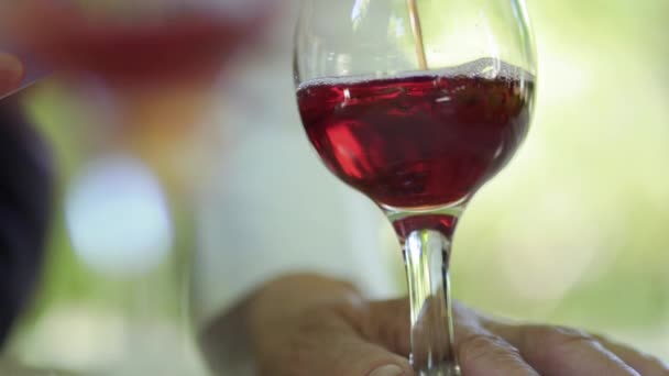 Derramando Vinho Tinto Vinho Close Antecedentes Desfocados — Vídeo de Stock