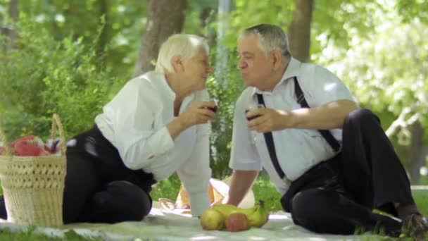 Starší Žena Její Muž Sedí Trávě Přikrývce Odpočívají Starý Krásný — Stock video