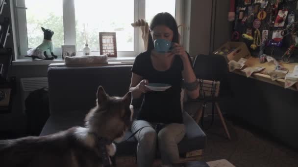 Belle Fille Avec Husky Sur Canapé Une Jeune Fille Aux — Video