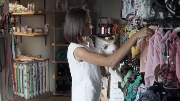 Pretty Woman Choosing Clothes Her Jack Russel Terrier Dog Owner — Stock Video