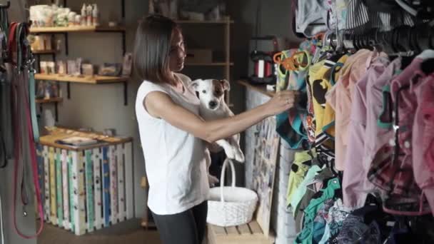 Mulher Bonita Escolhe Roupas Para Seu Cão Jack Russell Terrier — Vídeo de Stock