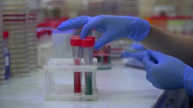 Mavi lastik eldivenli kadın eller test tüpleri için tüpü askıdan alıp yakından kontrol ediyor. Laboratuvarda araştırma yapıyorum. Bilim, meslek, sağlık hizmeti konsepti. Yavaş çekim