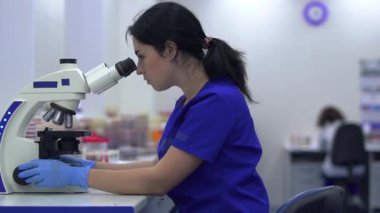 Laboratuvar teknisyeni laboratuarda mikroskoba bakıyor. Ekip arka planda çalışıyor.