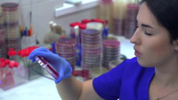 Jovem Mulher Bonita Verificando Examina Frascos Laboratório Seguida Colocá Volta — Vídeo de Stock