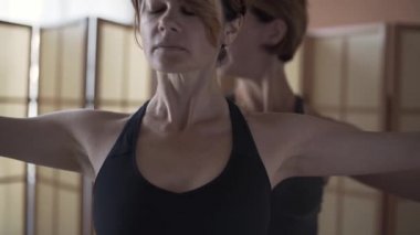 Yetişkin beyaz kadınların portresi evde spor yapıyor. Denge egzersizleri yapan iki sporcu. Sağlıklı yaşam tarzı, eğlence