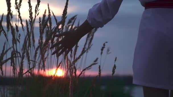 Vacker Solnedgång Flodstranden Högt Gräs Förgrunden Inställningssolen Bakgrunden Ung Flicka — Stockvideo