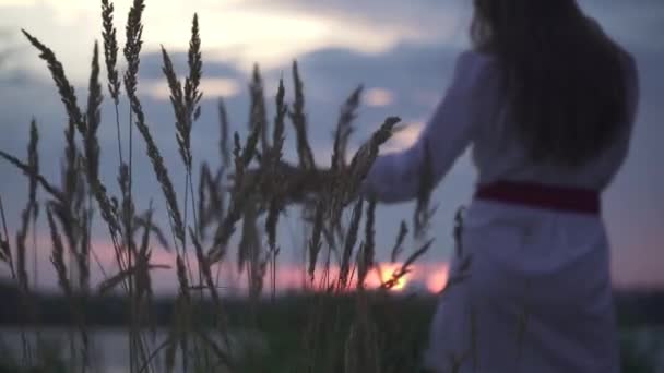 Krásný Západ Slunce Břehu Řeky Vysoká Tráva Popředí Mladá Dívka — Stock video