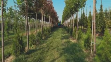 çiçek bahçesinde plantasyon ile çalışan insanların video, asansör asansör kullanarak adam