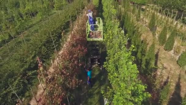 Vidéo Personnes Travaillant Avec Plantation Cour Florale Homme Utilisant Ascenseur — Video