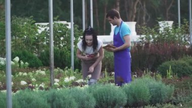 Bahçe çalışanları iş başında. Yakışıklı bir adam ve bir kız bahçe merkezinde çalışıyorlar. Adam ve kız tablet ve telefondaki bilgileri kaydediyor..