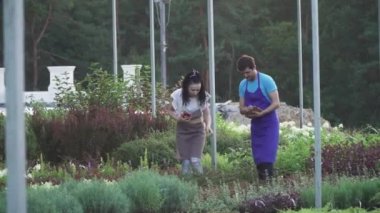 Bahçe çalışanları iş başında. Yakışıklı bir adam ve bir kız bahçe merkezinde çalışıyorlar. Adam ve kız tablet ve telefondaki bilgileri kaydediyor..