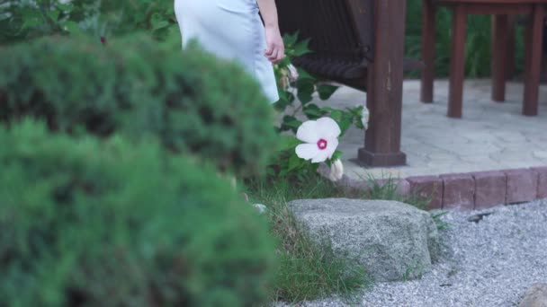 Menina Bonita Está Cheirando Uma Flor Parque Jovem Com Cabelo — Vídeo de Stock