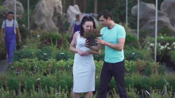 大人のカップルは庭に植物を持つ植物を選ぶ 男と女は屋外で一緒に時間を過ごす 恋人は幸福で陽気だ — ストック動画