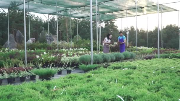 Trabalhadores Centro Jardim Trabalho Dois Tipos Uma Rapariga Estão Trabalhar — Vídeo de Stock