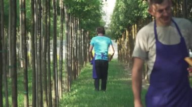 Kulaklıklı adam bahçede dans ediyor. Bahçıvan parktaki müzikten hoşlanır. Dans eden adam..