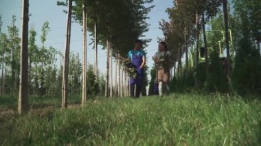 İnsanlar bahçeden kesilmiş dallar topluyor. Kadın, bahçıvanlar tarafından kesilen dalları alıp başka bir işçiye veriyor. İnsanlar işlerini dikkatli yaparlar..