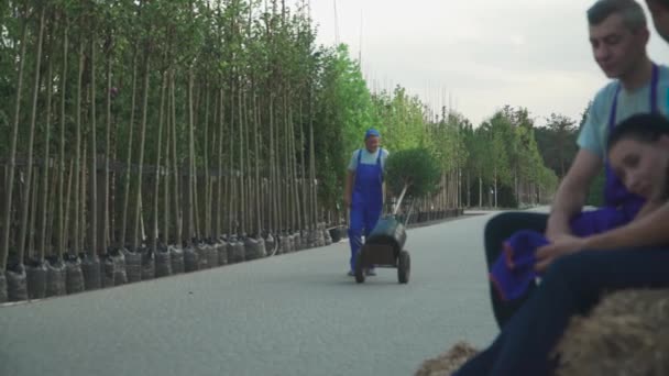 Gärtner Fährt Mit Wagen Gegen Baum — Stockvideo