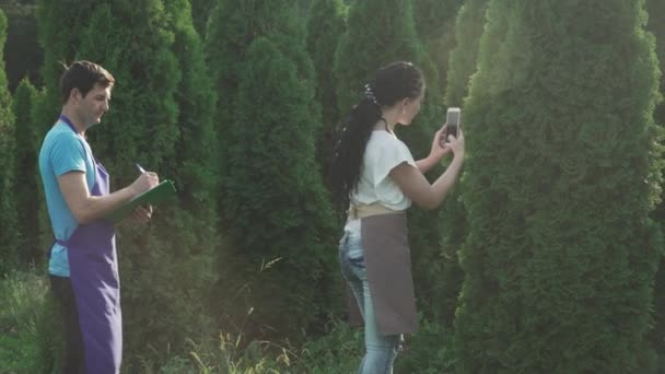 Şçiler Ağacın Durumunu Inceliyor Kadın Cep Telefonuyla Fotoğraf Çekiyor Erkek — Stok video