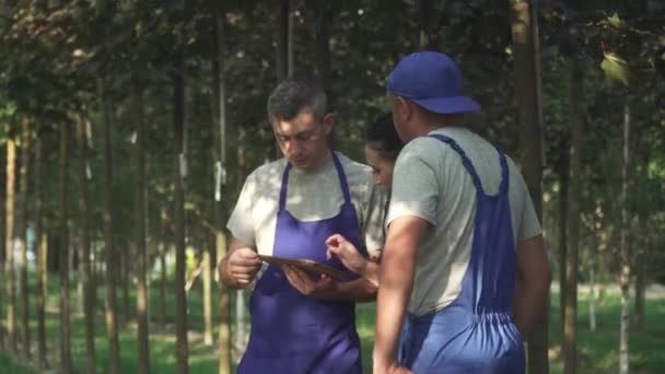 Les Jardiniers Examinent Les Informations Sur Tablette Deux Hommes Une — Video