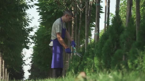 Jardineiro Uniforme Azul Está Cortando Arbustos Grande Jardim Homem Alto — Vídeo de Stock