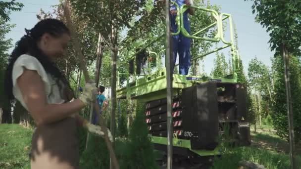 工人们在花园里采摘水果 季节性收获在进行中 人们用自动扶梯收割庄稼 花园里的树成排整齐地生长着 从下面开枪 — 图库视频影像