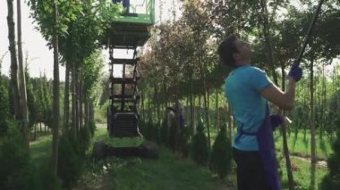 Mevsimsel hasat işlemi devam ediyor. İnsanlar makineli asansörle hasat topluyor. İşçi asansörde duruyor ve otomatik olarak aşağı iniyor.