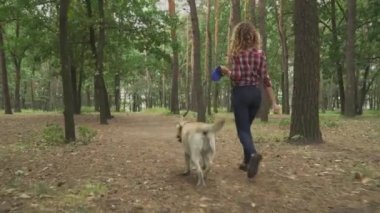 Arka planda, ormanda köpekli genç bir kadının yürüyüş videosu var. 