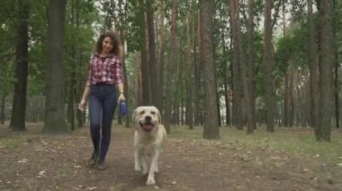 Güzel beyaz kadın ormanda Labrador köpeğiyle yürüyor, video. 