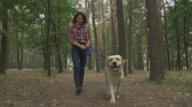 Güzel bir kadın ormanda Labrador köpeğiyle yürüyor. 